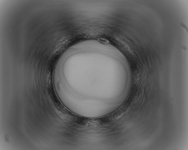 X0000091010599200708301359