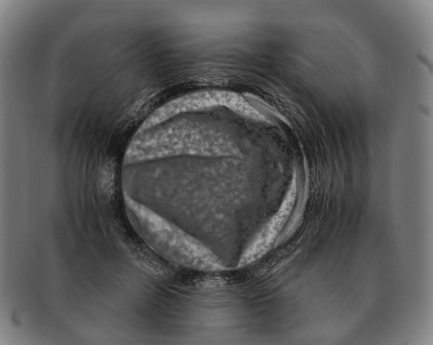 X0000091010600200708301359