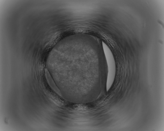 X0000091010601200708301359