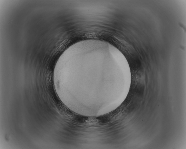 X0000091010603200708301359