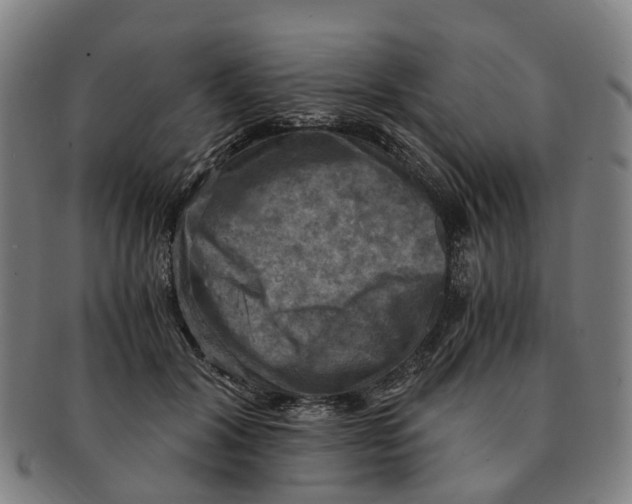 X0000091010604200708301359