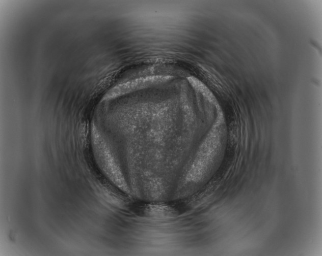 X0000091010605200708301359