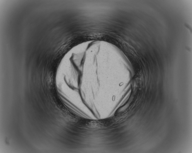 X0000091010608200708301359