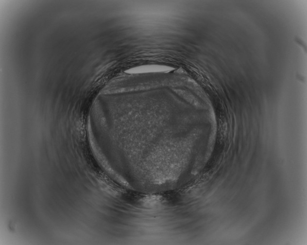 X0000091010609200708301359