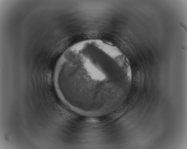 X0000091010610200708301359