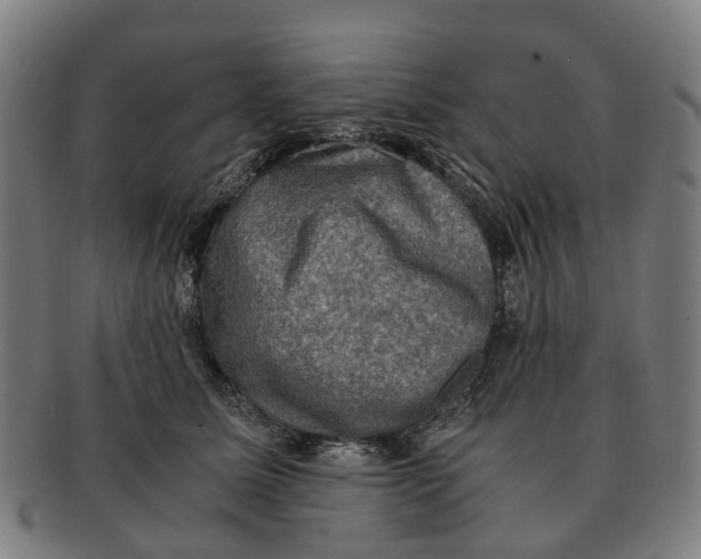 X0000091010611200708301359