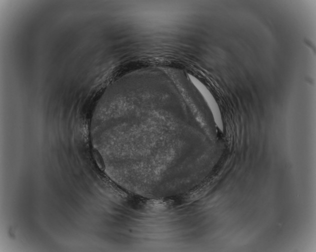 X0000091010613200708301359