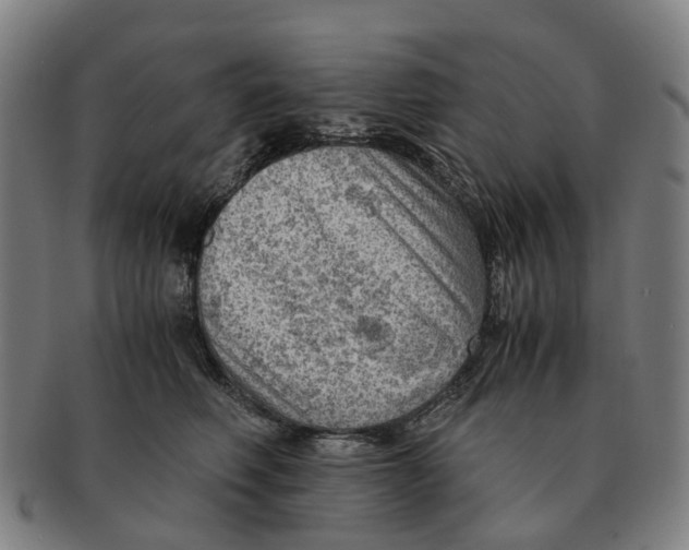 X0000091010614200708301359