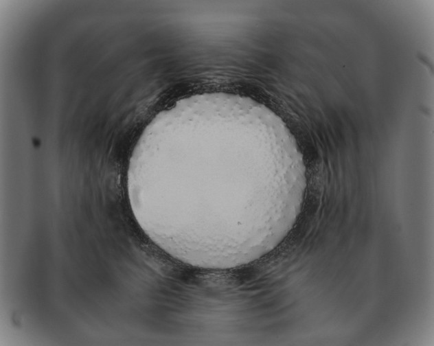 X0000091010615200708301359