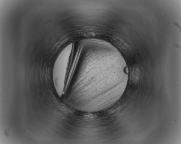 X0000091010616200708301359