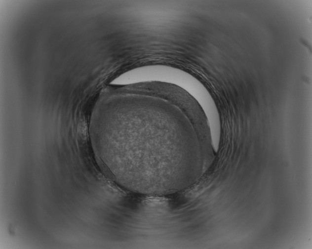 X0000091010617200708301359