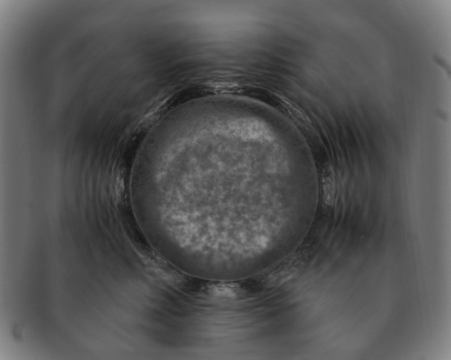 X0000091010618200708301359