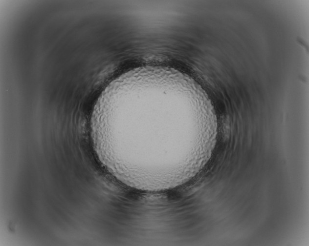 X0000091010619200708301359