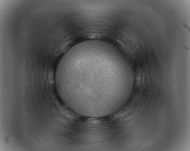 X0000091010620200708301359