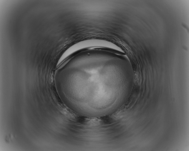 X0000091010621200708301359