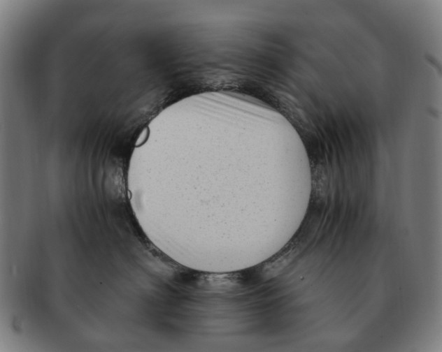 X0000091010622200708301359