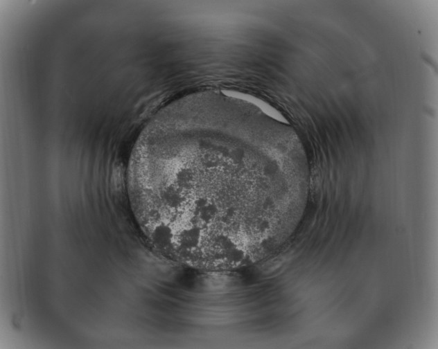 X0000091010623200708301359