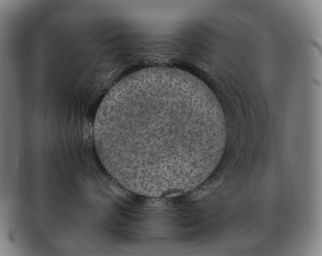 X0000091010624200708301359