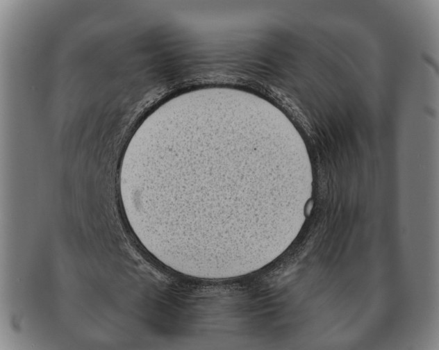 X0000091010625200708301358