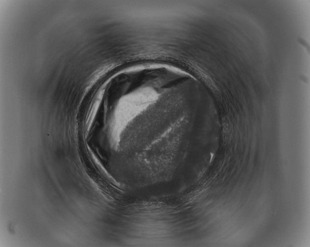 X0000091010626200708301358