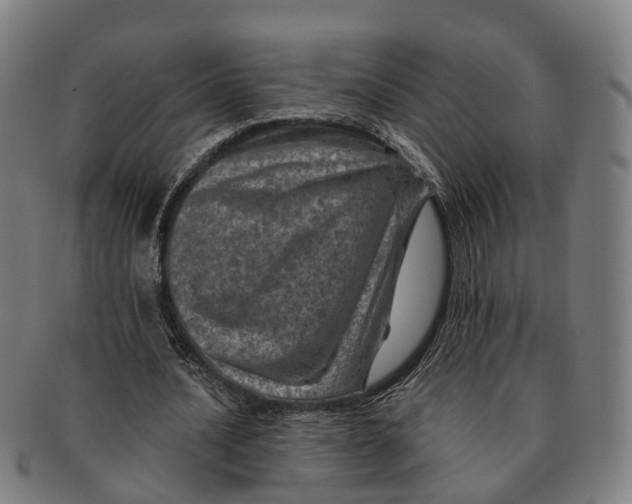 X0000091010628200708301358