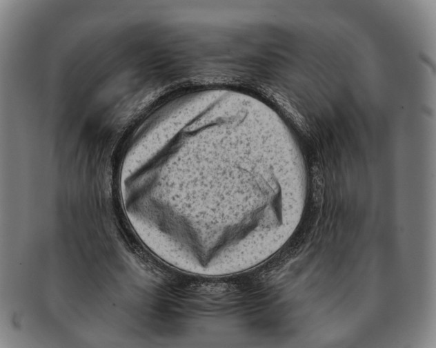 X0000091010631200708301358