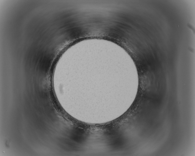 X0000091010632200708301358