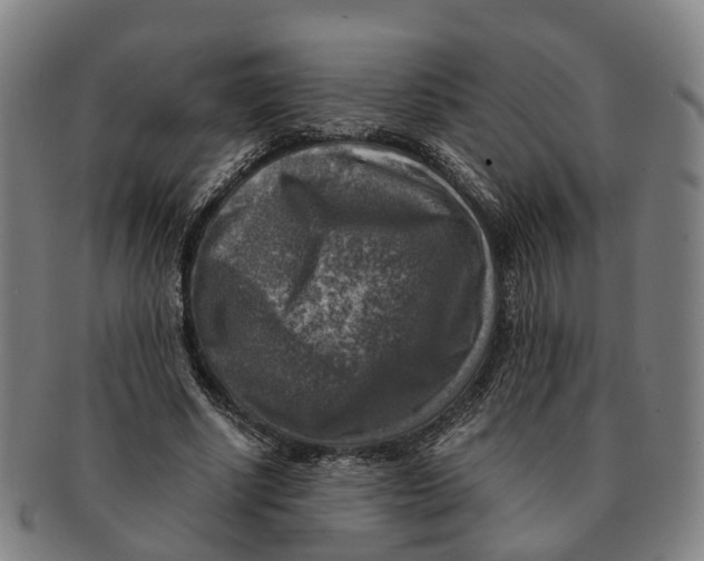 X0000091010634200708301358