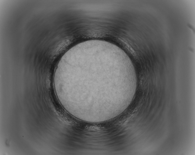 X0000091010635200708301358