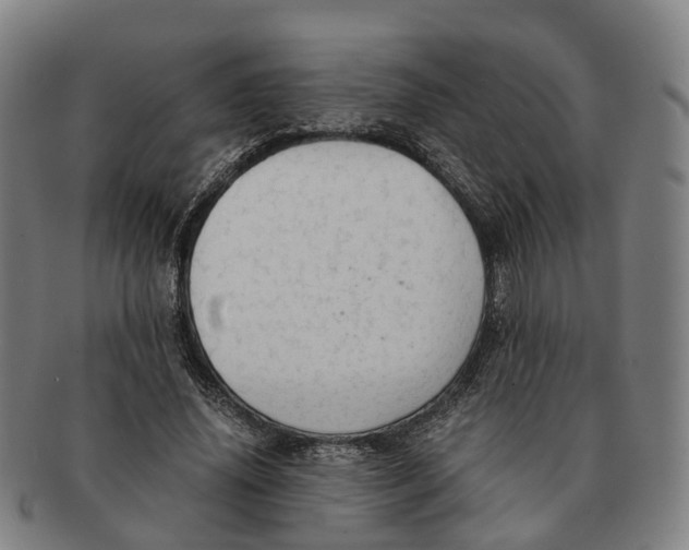 X0000091010636200708301358