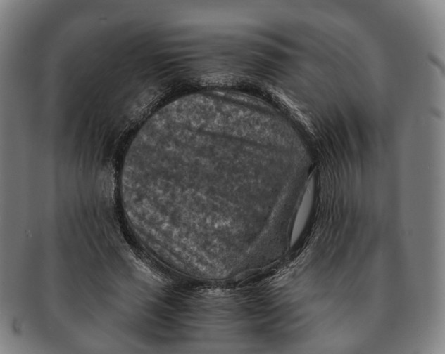 X0000091010637200708301358