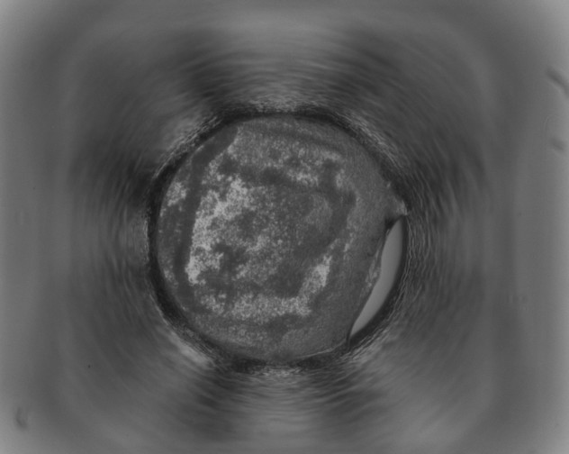 X0000091010638200708301358