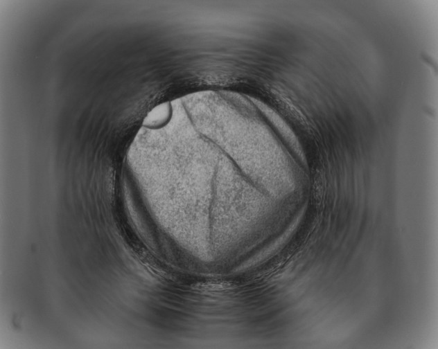 X0000091010639200708301358