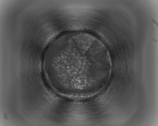 X0000091010640200708301358