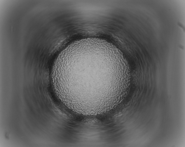 X0000091010642200708301358