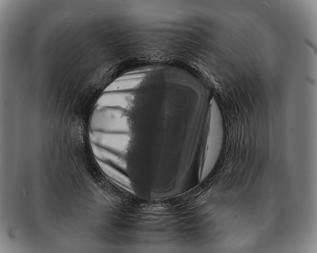 X0000091010643200708301358