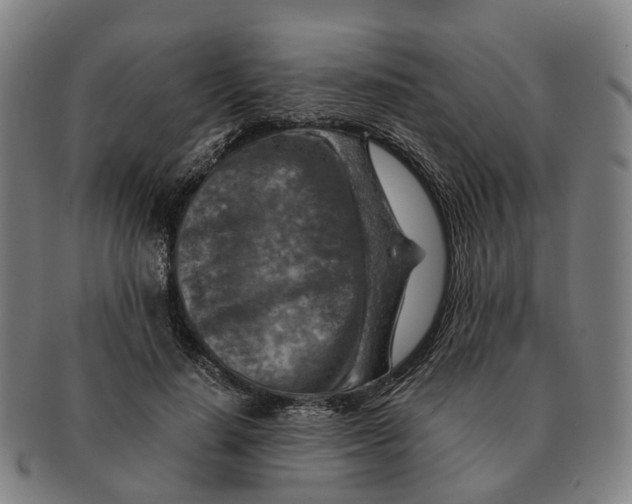 X0000091010644200708301358