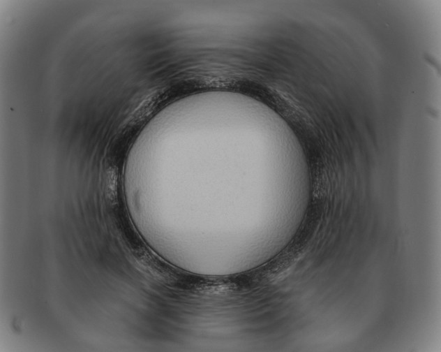 X0000091010646200708301358