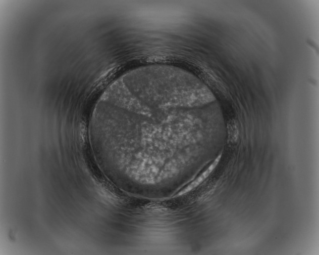 X0000091010648200708301358