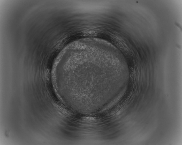 X0000091010649200708301358