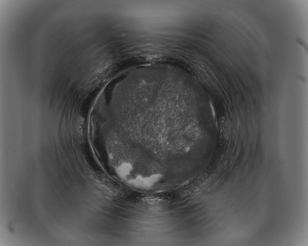 X0000091010650200708301358