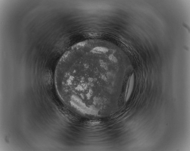 X0000091010651200708301359