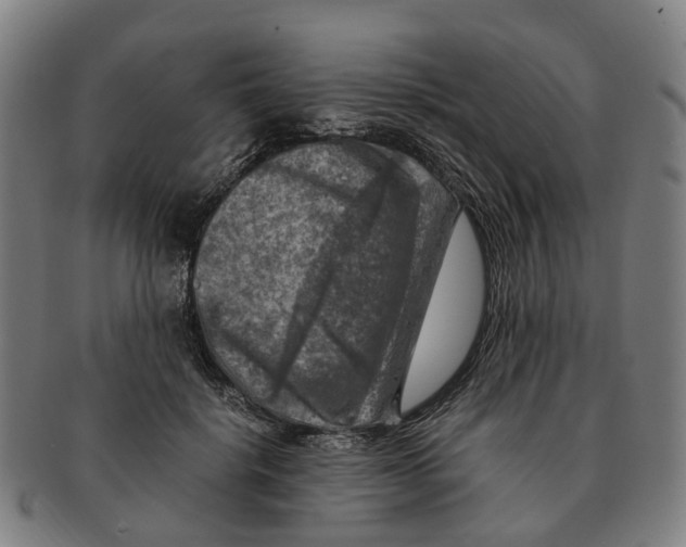 X0000091010652200708301359