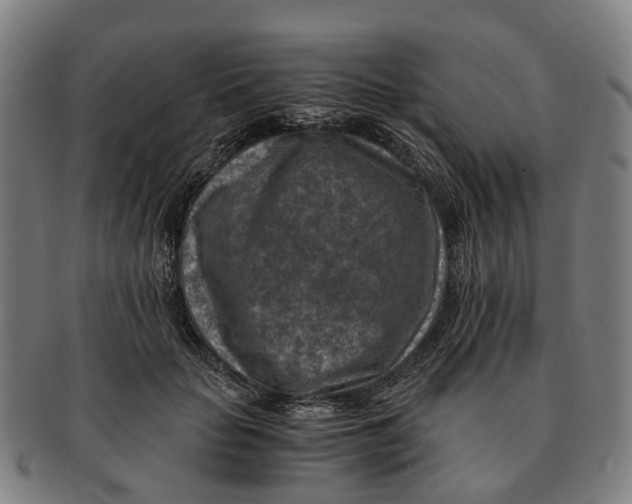 X0000091010653200708301359