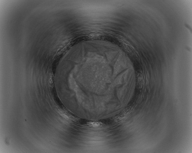 X0000091010654200708301359