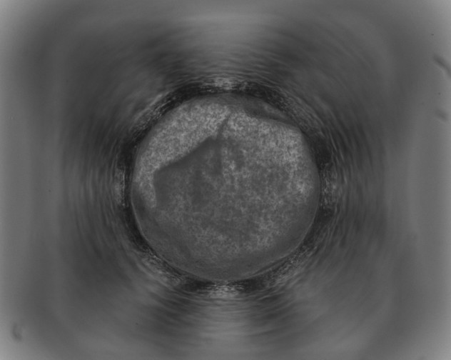 X0000091010656200708301359