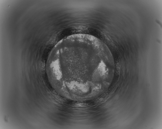 X0000091010657200708301359