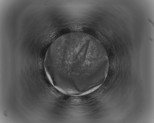 X0000091010658200708301359