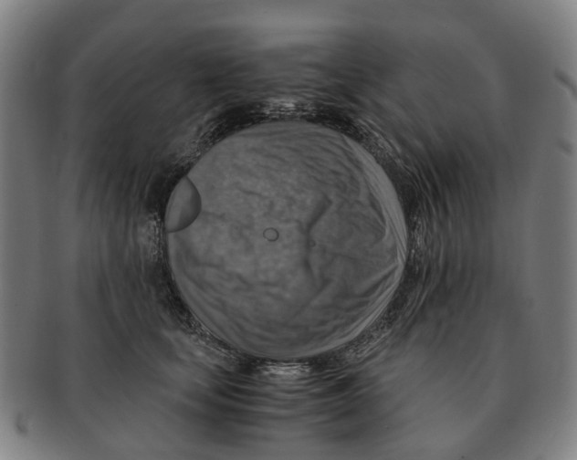 X0000091010659200708301359