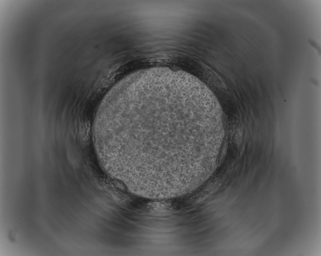 X0000091010660200708301359